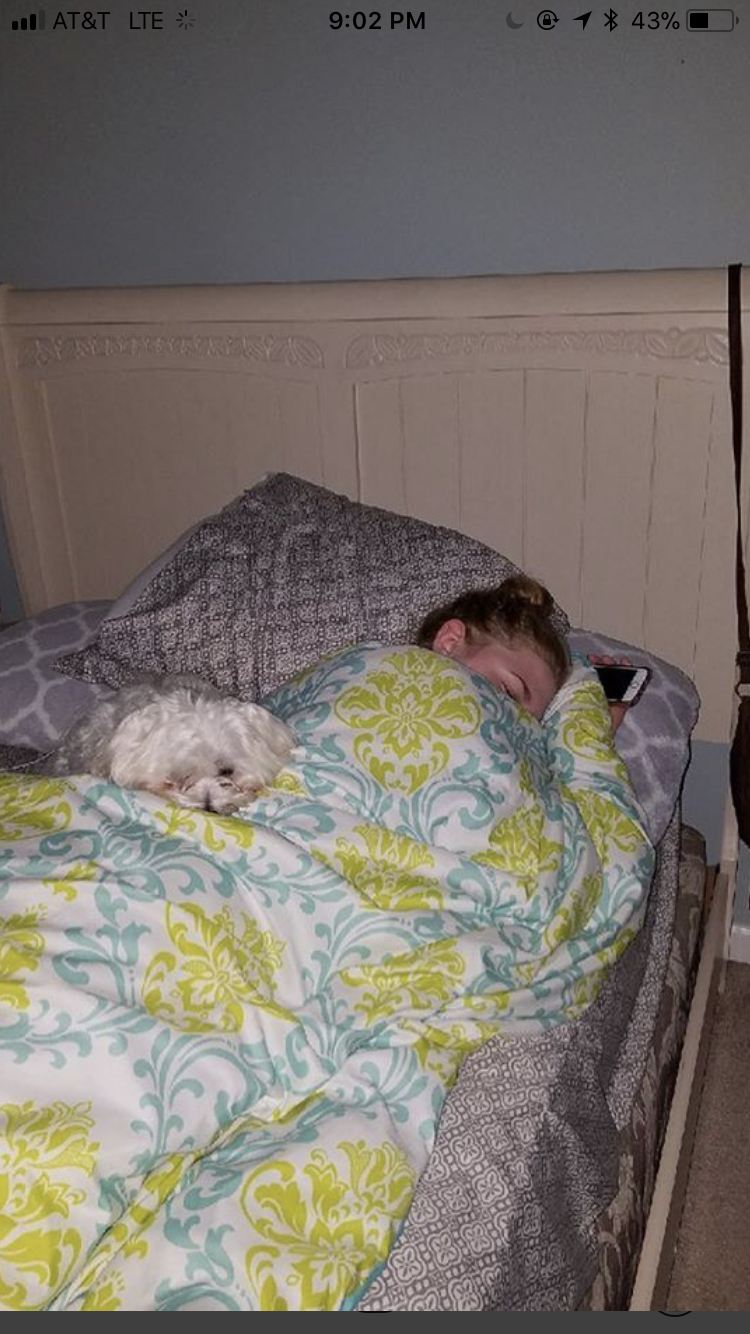 Master Bedroom photo