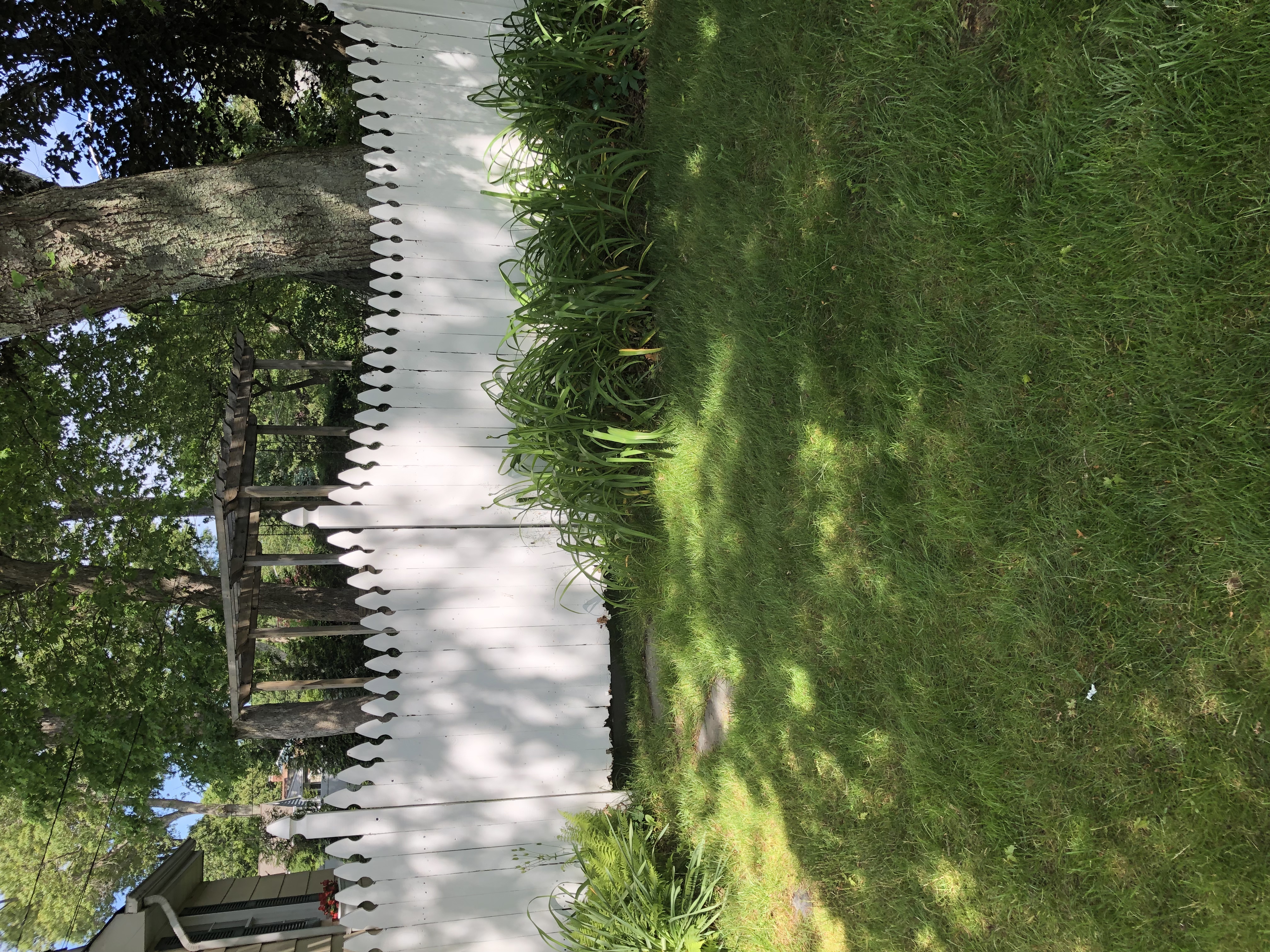 Space photo