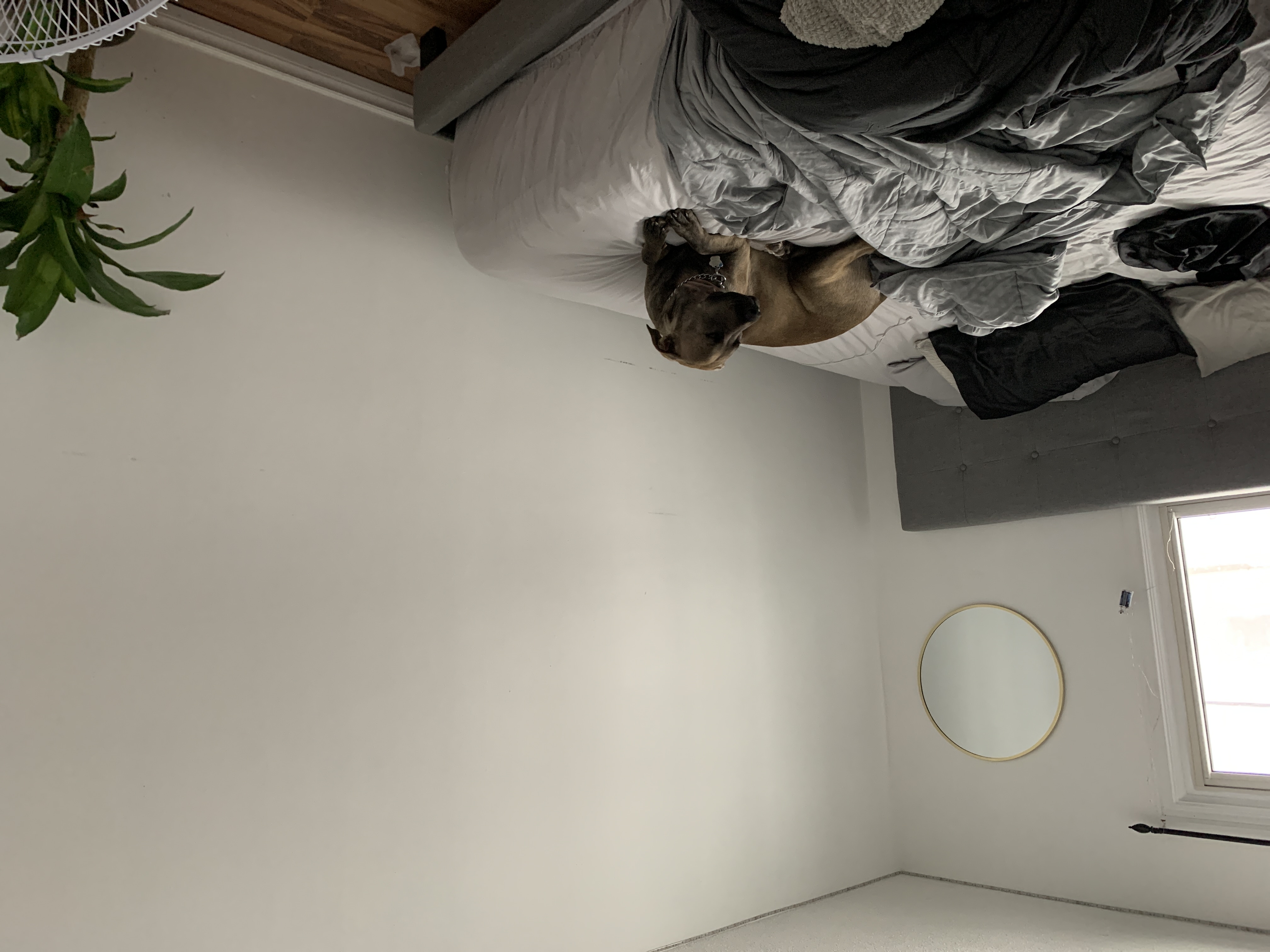 Master Bedroom photo